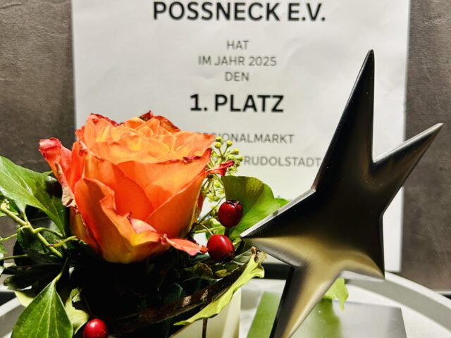 TC „submarin“ Pößneck e.V. gewinnt den „Stern des Sports“ in Bronze