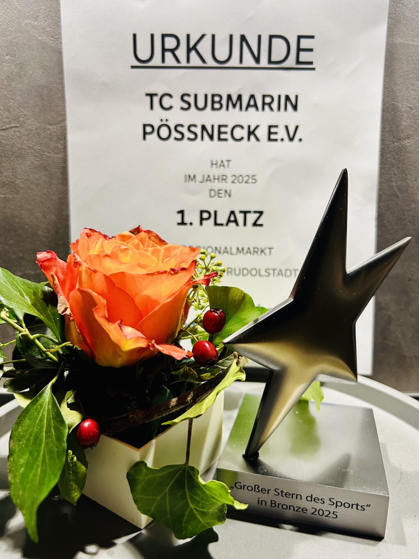 TC „submarin“ Pößneck e.V. gewinnt den „Stern des Sports“ in Bronze